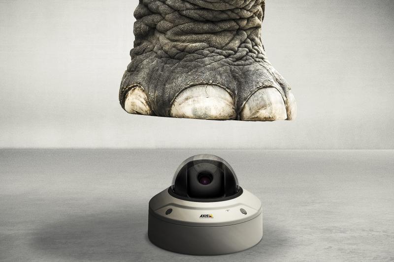 Een olifantenpoot die boven een camera hangt.